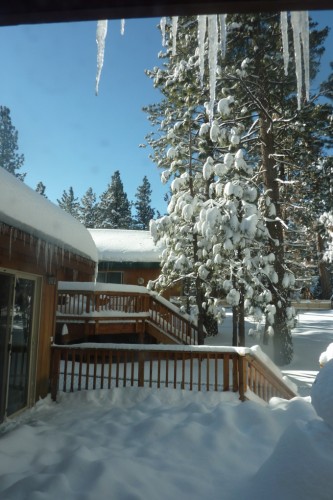 _Winter Wonderland